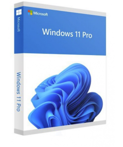 Bản quyền Windows 11 PRO - 64Bit Eng Intl 1PK DSP OEI DVD (FQC-10528) (Chính hãng) CN
